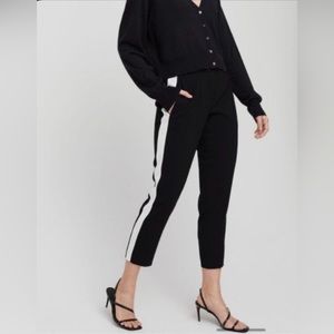 Aritzia Babaton Conan Pants
